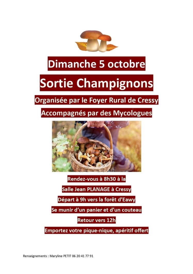 Sortie champignons dans la forêt d'Eawa le dimanche 5 octobre
