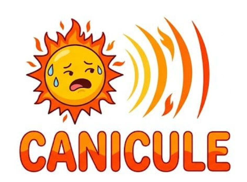 Logo canicule